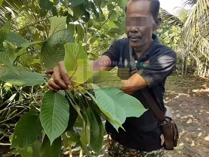 /www/bananadaily.net/web/images/image/2201/22011995.avif